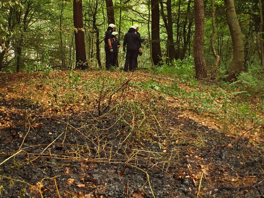 Waldbrand Bergisch Gladbach Bensberg P138.JPG